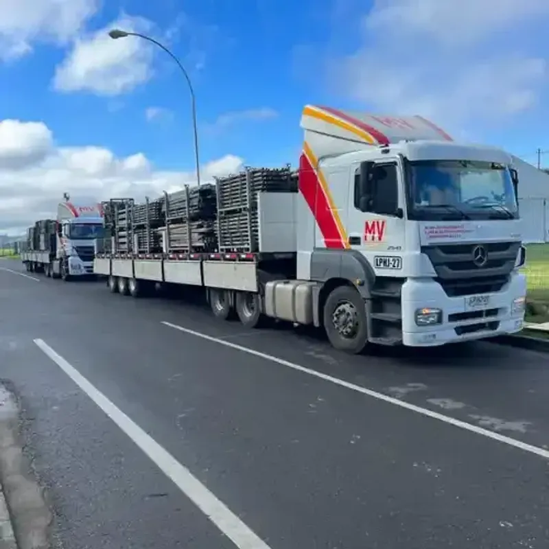 Transporte de Carga